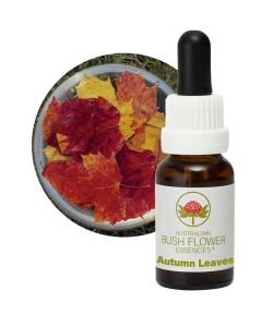 Autumn Leaves, 15 ml